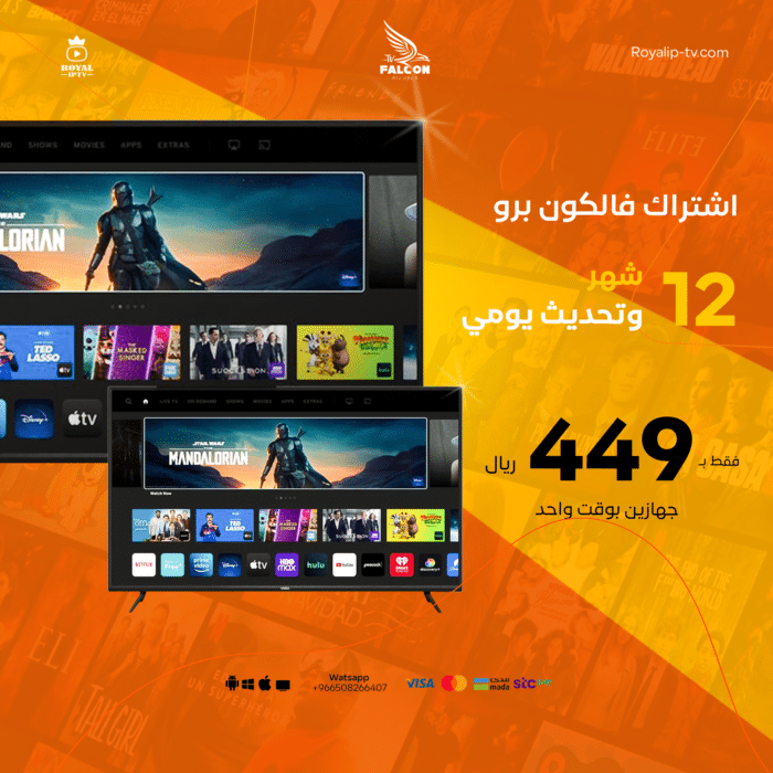 اشتراك فالكون برو سنة (جهازين بوقت واحد)
